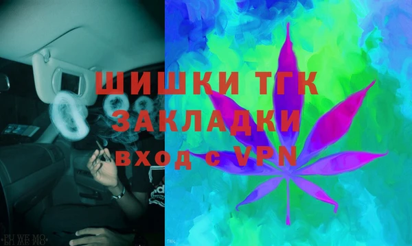 прущий лед Новозыбков