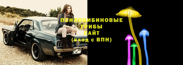 2c-b Нязепетровск