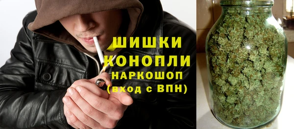 прущие крисы Няндома