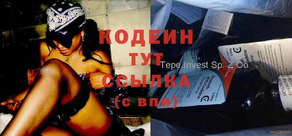 стаф Гатчина