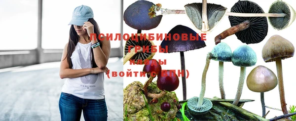 2c-b Нязепетровск