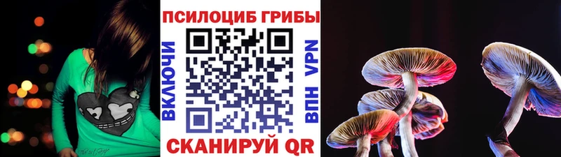 где продают   сайты даркнета состав  Псилоцибиновые грибы прущие грибы  Кинешма 