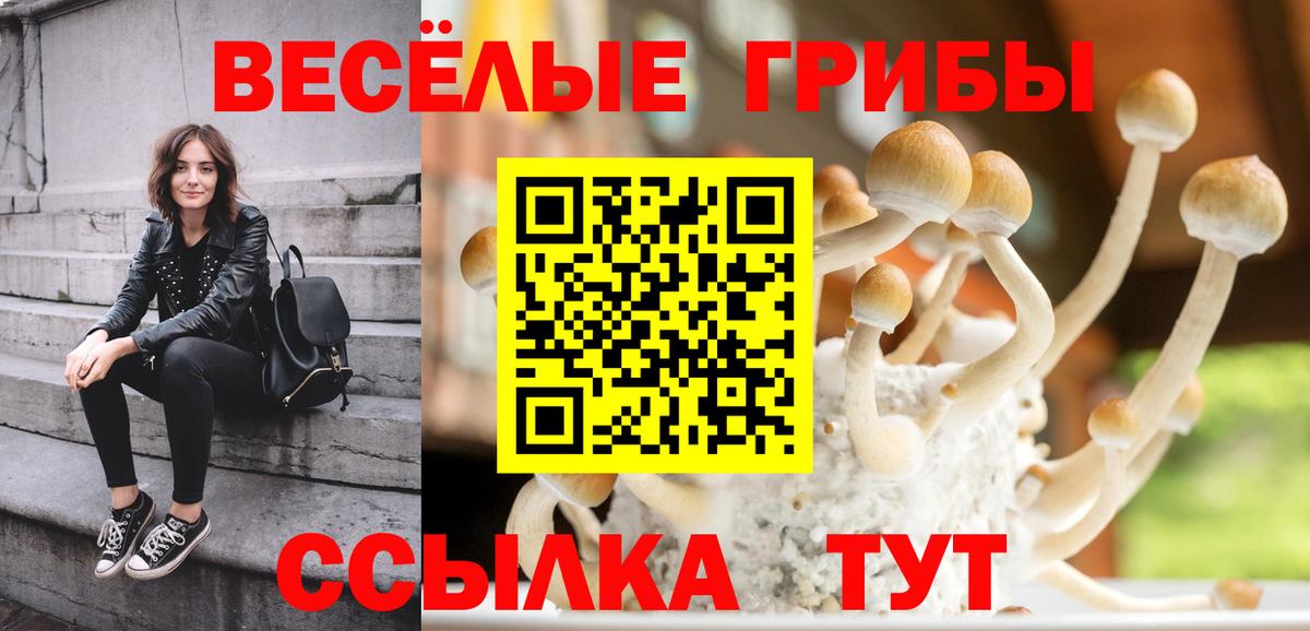 Галлюциногенные грибы Psilocybe Кинешма